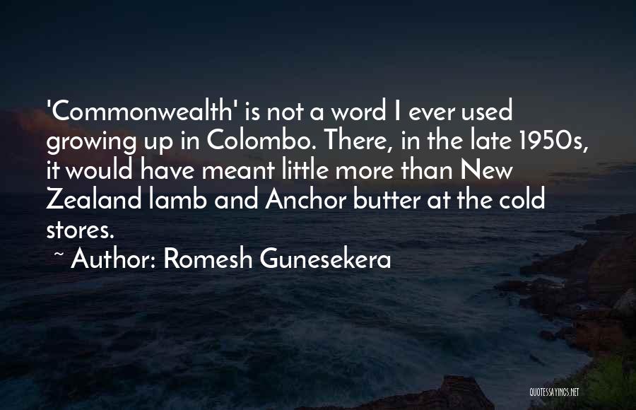 Romesh Gunesekera Quotes 1438222