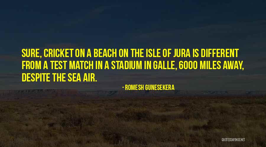 Romesh Gunesekera Quotes 1571433