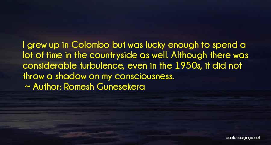 Romesh Gunesekera Quotes 1767563