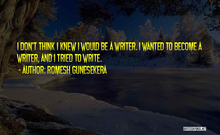 Romesh Gunesekera Quotes 199767