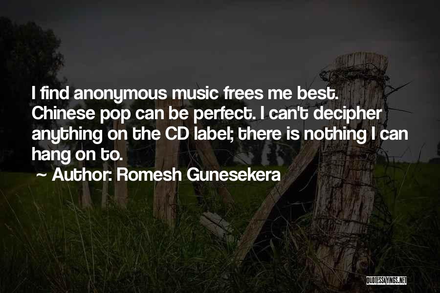 Romesh Gunesekera Quotes 2184278