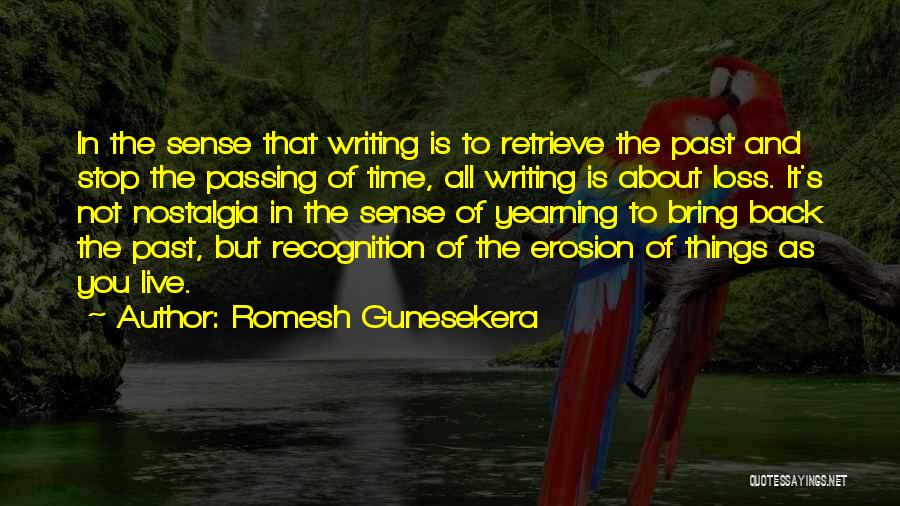 Romesh Gunesekera Quotes 504063