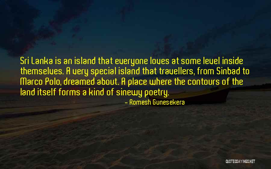 Romesh Gunesekera Quotes 724715