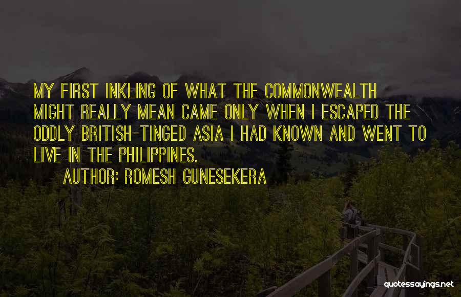 Romesh Gunesekera Quotes 907511