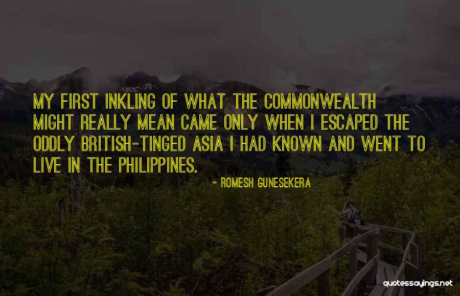 Romesh Gunesekera Quotes 907511