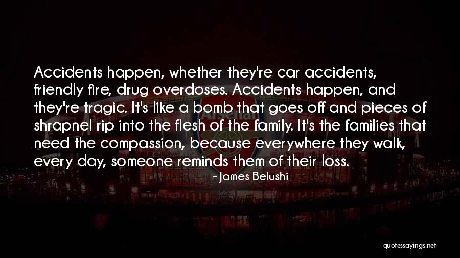 Rometsch Lawrence Quotes By James Belushi Rometsch Lawrence Quotes By James Belushi