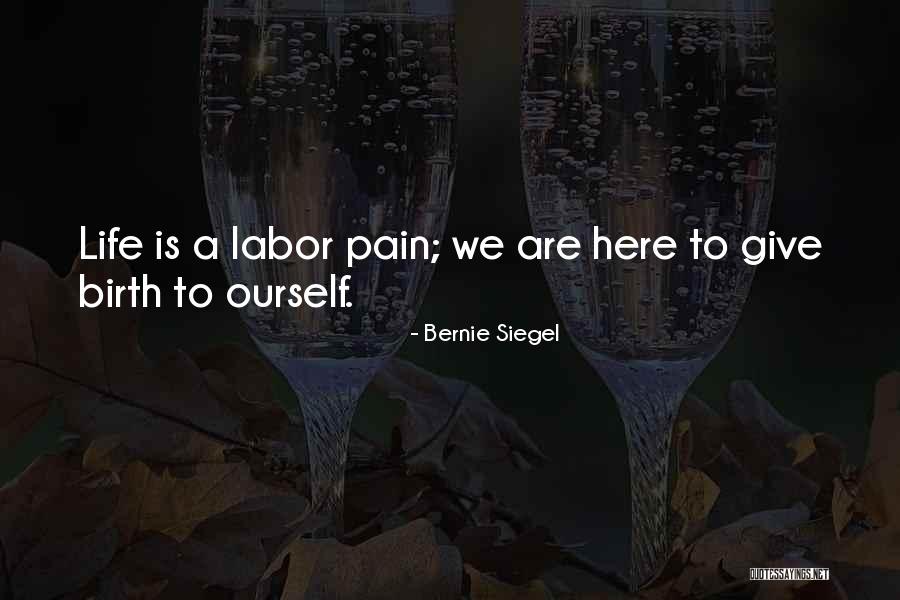 Romildo Show Quotes By Bernie Siegel Romildo Show Quotes By Bernie Siegel
