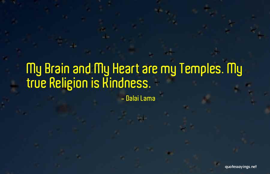 Romke Baseball Quotes By Dalai Lama Romke Baseball Quotes By Dalai Lama