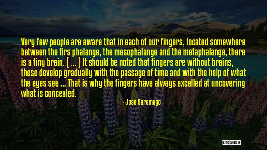 Romolo Chocolates Quotes By Jose Saramago Romolo Chocolates Quotes By Jose Saramago