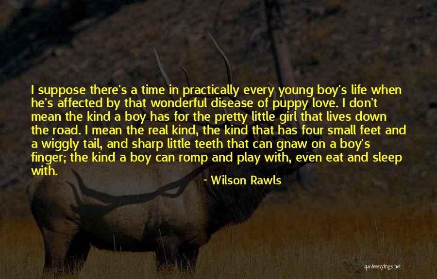 Romp Quotes By Wilson Rawls Romp Quotes By Wilson Rawls