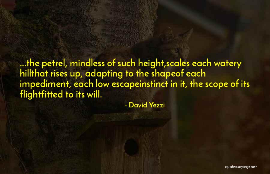 Rompere Rotto Quotes By David Yezzi Rompere Rotto Quotes By David Yezzi