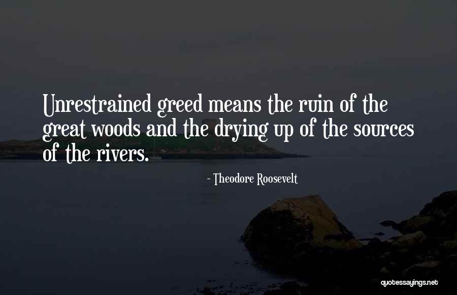 Romps Marina Quotes By Theodore Roosevelt Romps Marina Quotes By Theodore Roosevelt