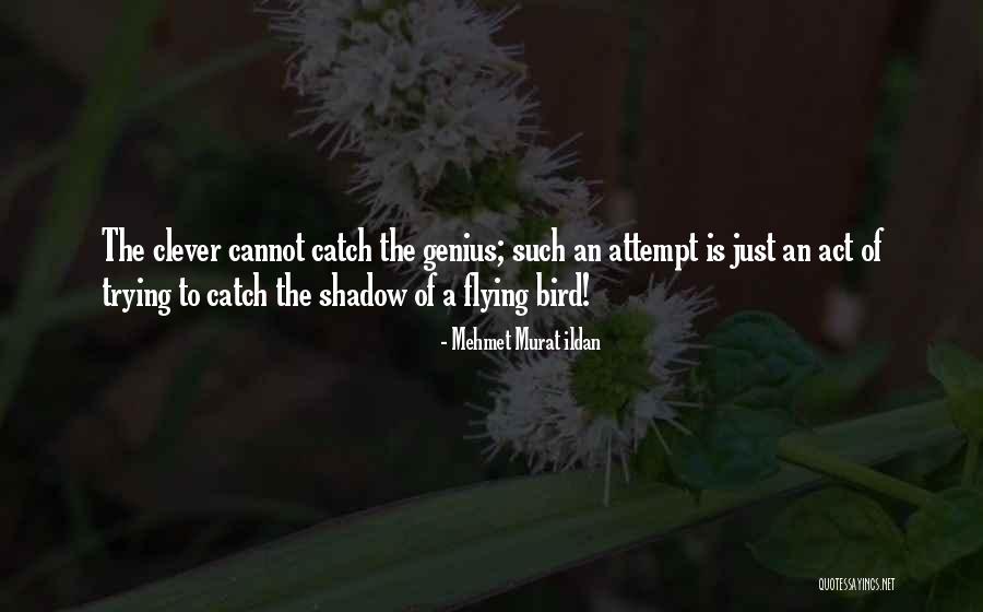 Romsey Hospital Quotes By Mehmet Murat Ildan Romsey Hospital Quotes By Mehmet Murat Ildan