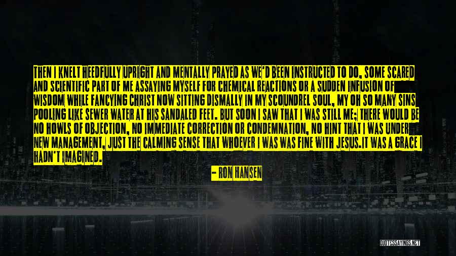 Ron Hansen Quotes 2232294 Ron Hansen Quotes 2232294