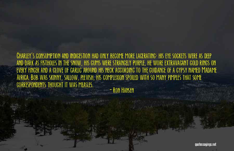 Ron Hansen Quotes 790220 Ron Hansen Quotes 790220