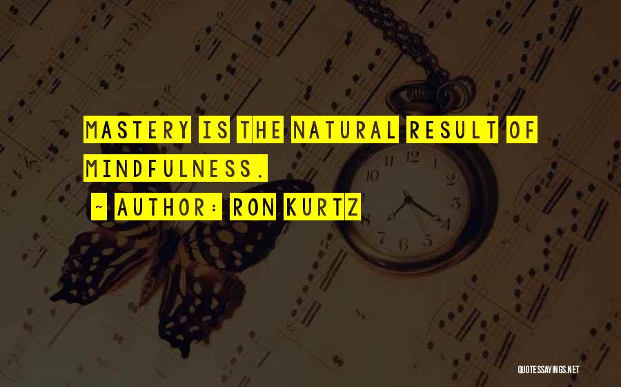 Ron Kurtz Quotes 386247