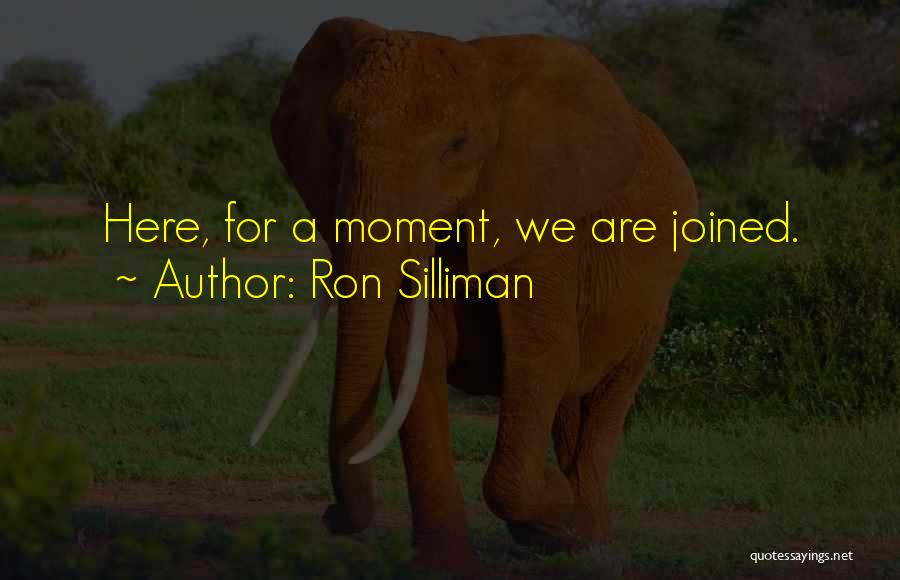 Ron Silliman Quotes 800700