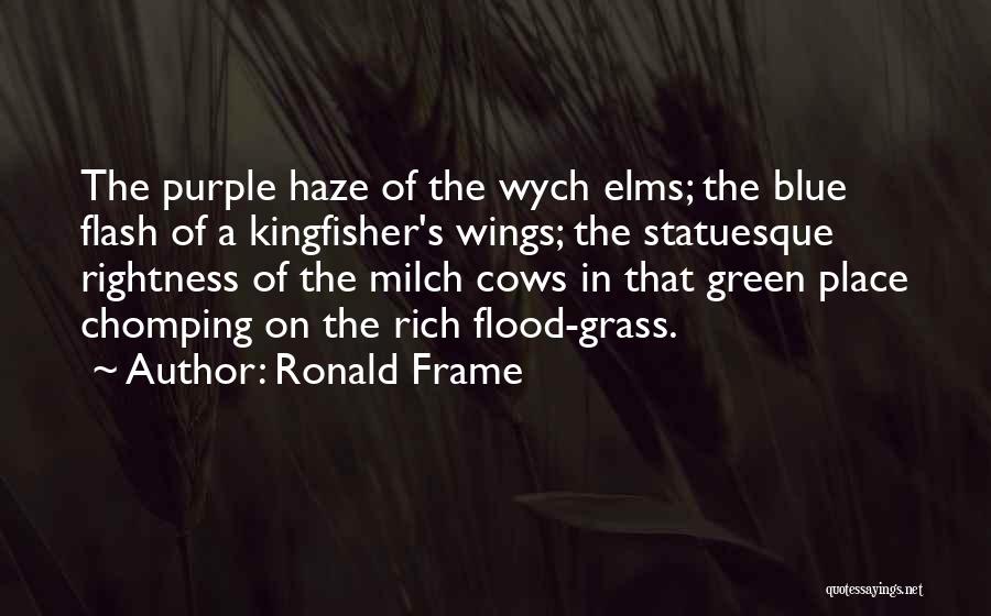Ronald Frame Quotes 1628655