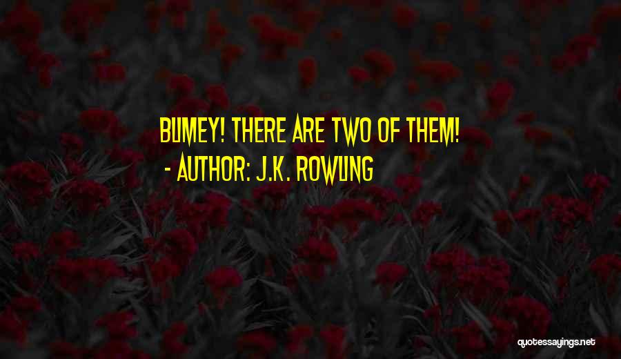 Ronald Weasley Quotes By J.K. Rowling