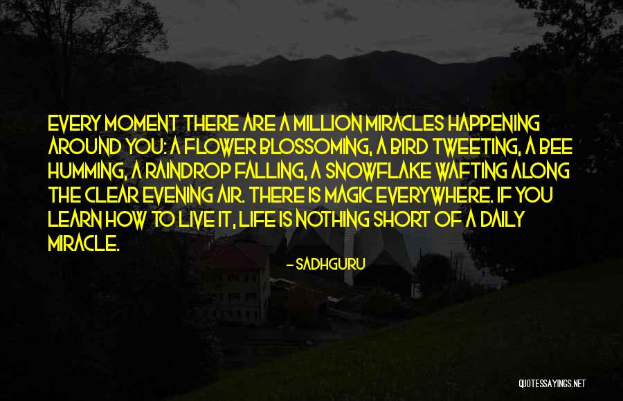 Ronde Quotes By Sadhguru Ronde Quotes By Sadhguru