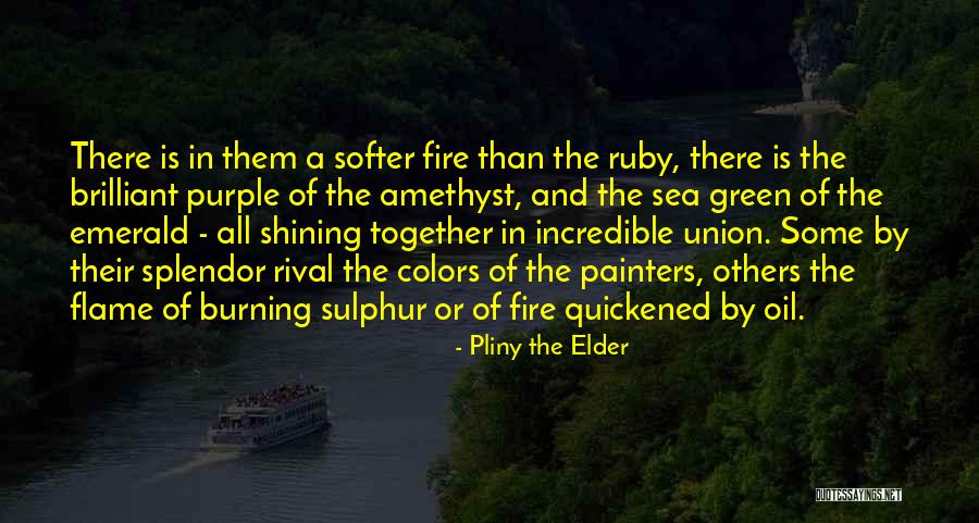 Rondell Quotes By Pliny The Elder Rondell Quotes By Pliny The Elder