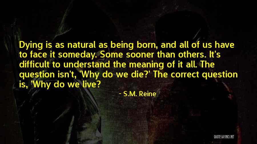 Rondelle Cut Quotes By S.M. Reine Rondelle Cut Quotes By S.M. Reine