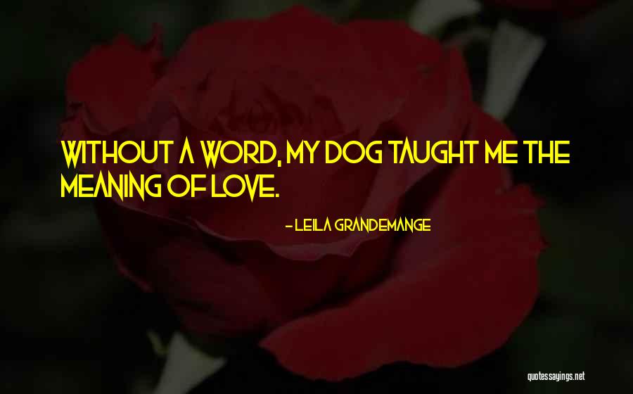 Ronfler In English Quotes By Leila Grandemange