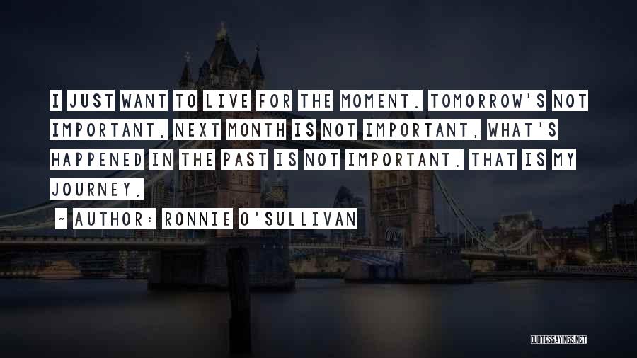 Ronnie O'Sullivan Quotes 623045