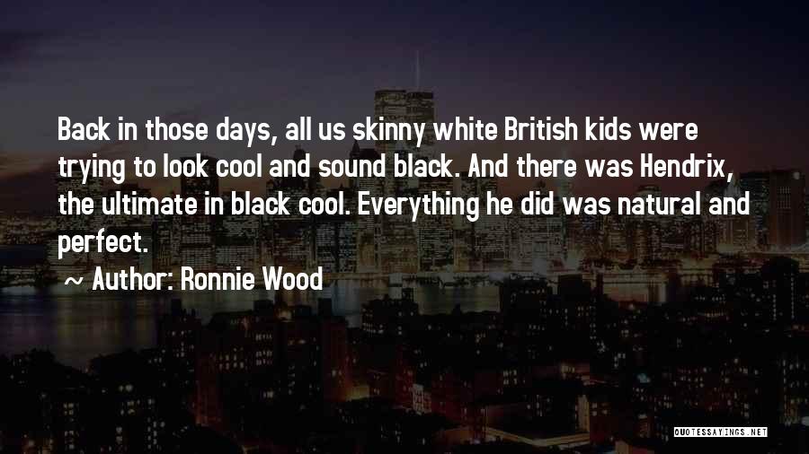 Ronnie Wood Quotes 1971903