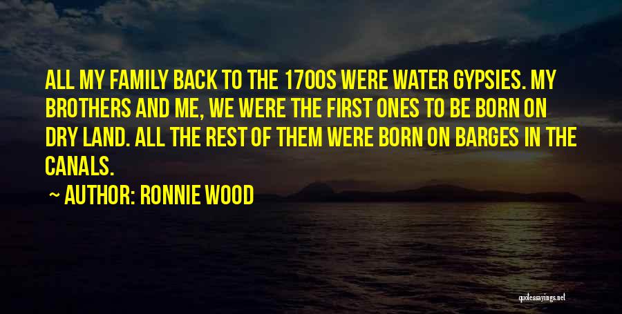 Ronnie Wood Quotes 463218