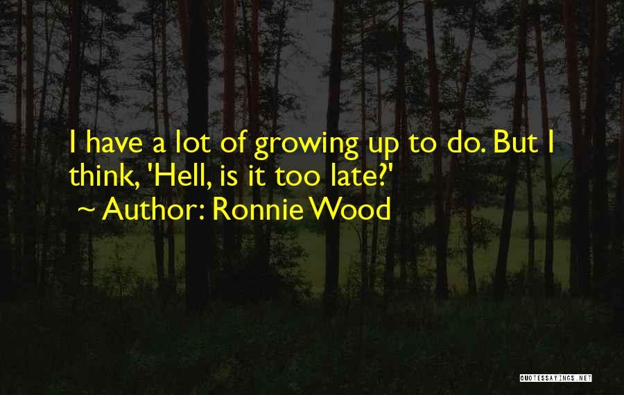 Ronnie Wood Quotes 736432