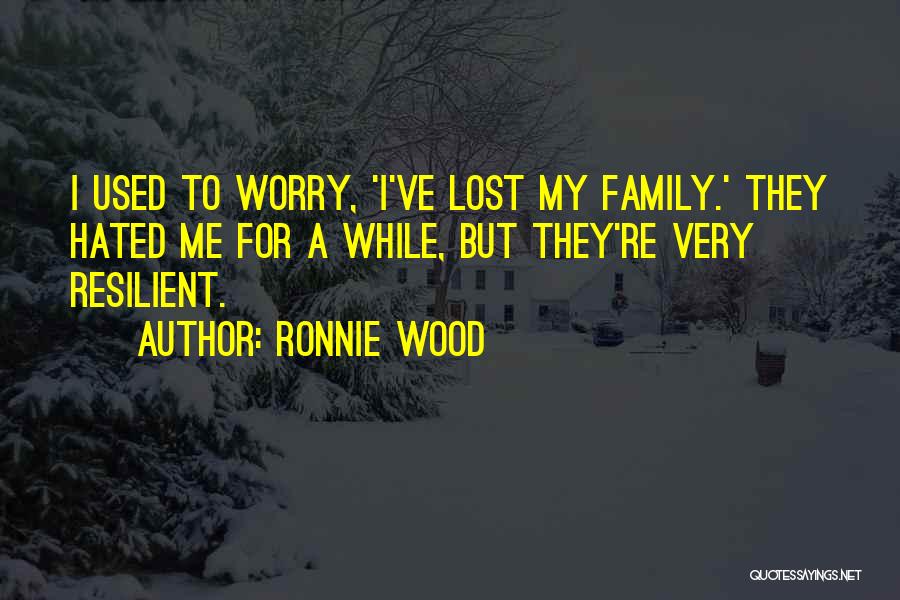 Ronnie Wood Quotes 930014
