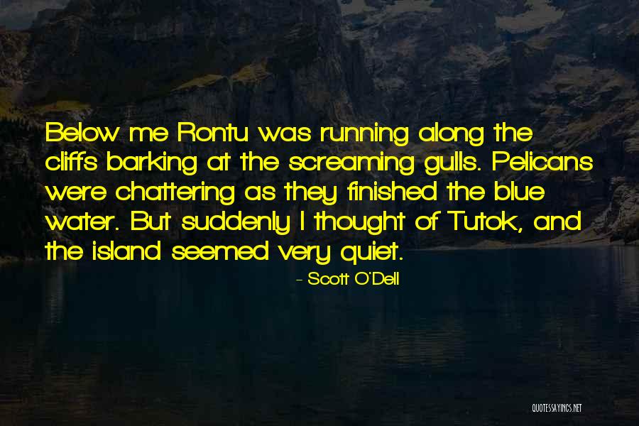 Rontu Island Quotes By Scott O'Dell Rontu Island Quotes By Scott O'Dell