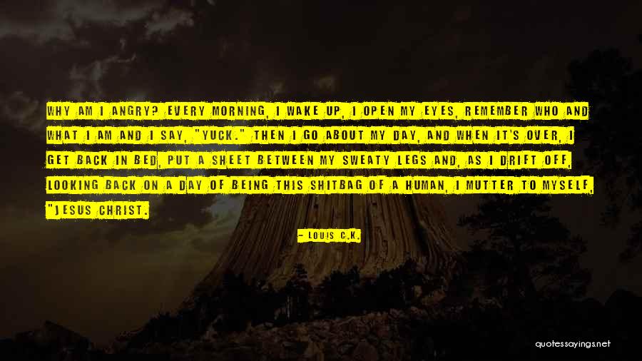 Ronweasly Quotes By Louis C.K. Ronweasly Quotes By Louis C.K.