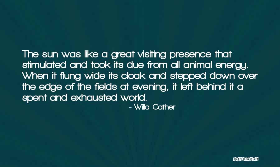 Ronys Boys Quotes By Willa Cather Ronys Boys Quotes By Willa Cather