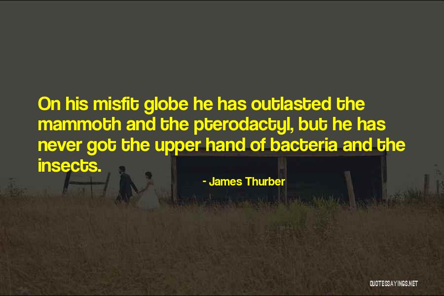 Roofless Jeep Quotes By James Thurber Roofless Jeep Quotes By James Thurber