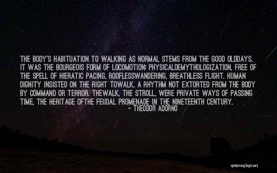 Rooflesswandering Quotes By Theodor Adorno Rooflesswandering Quotes By Theodor Adorno