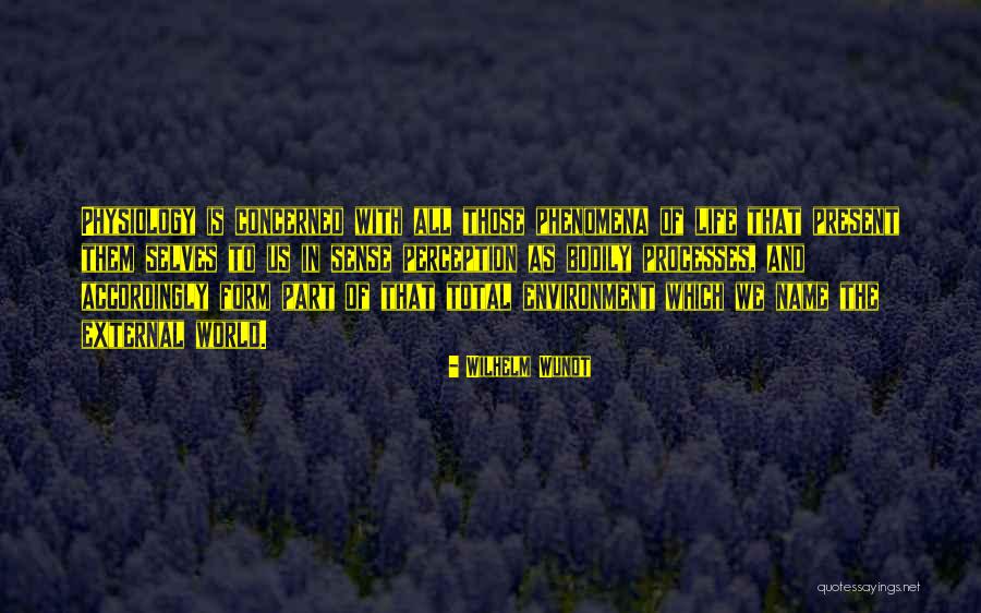 Rooftop Pool Quotes By Wilhelm Wundt Rooftop Pool Quotes By Wilhelm Wundt