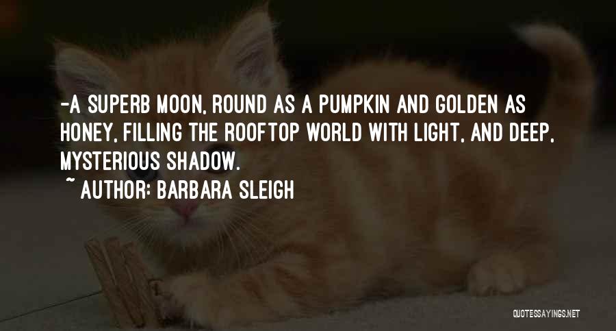 Rooftop Quotes By Barbara Sleigh