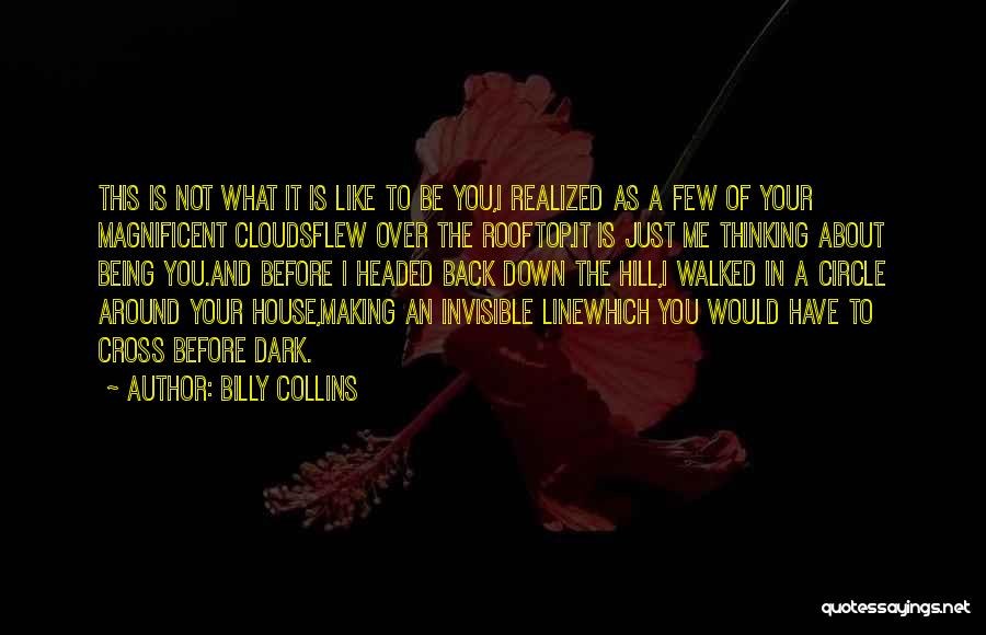 Rooftop Quotes By Billy Collins