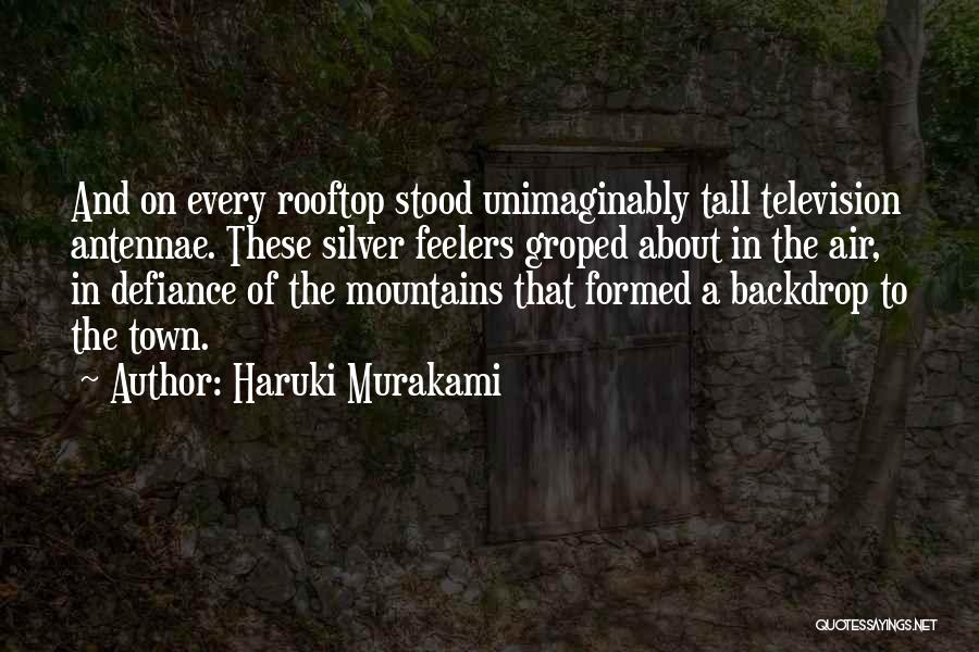 Rooftop Quotes By Haruki Murakami
