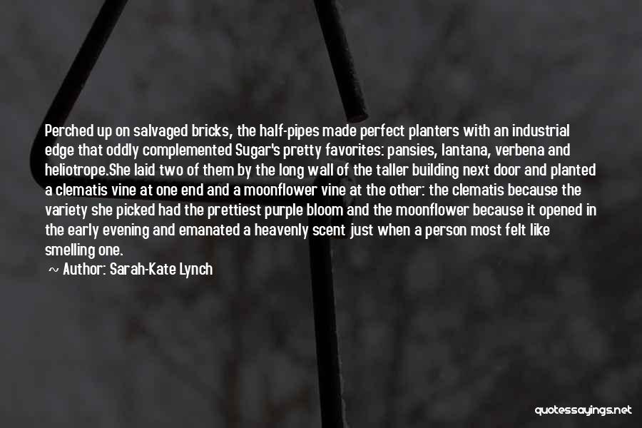Rooftop Quotes By Sarah-Kate Lynch