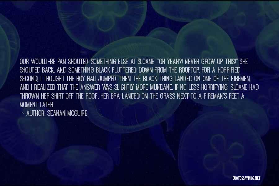Rooftop Quotes By Seanan McGuire