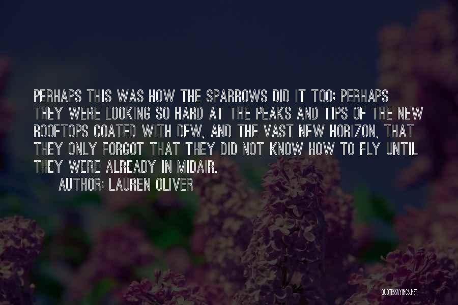 Rooftops Quotes By Lauren Oliver