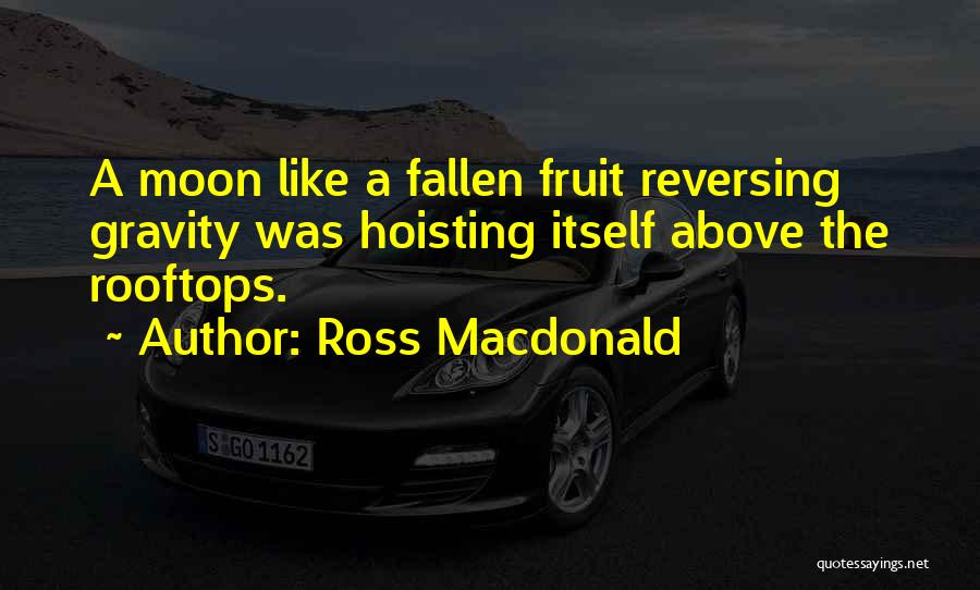 Rooftops Quotes By Ross Macdonald