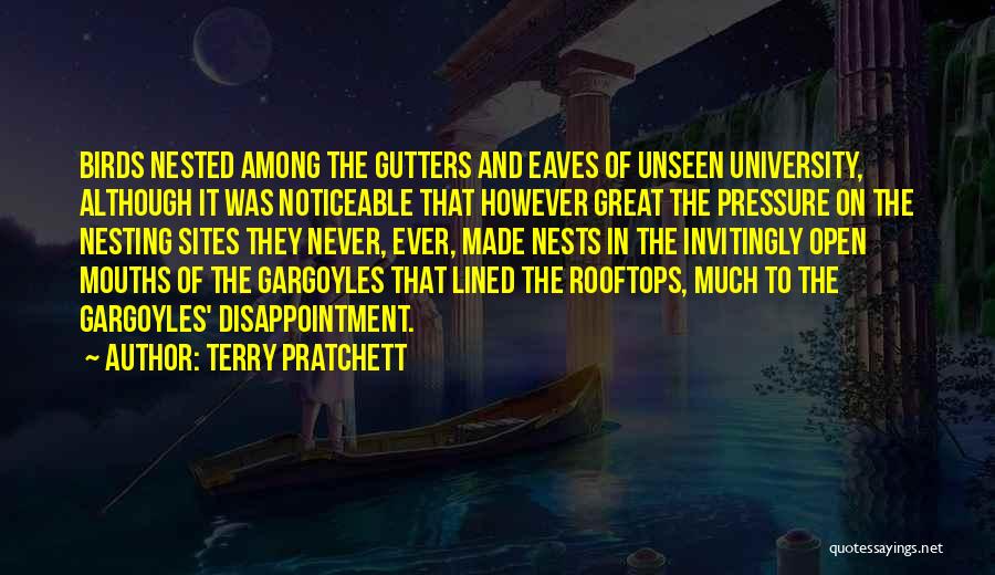 Rooftops Quotes By Terry Pratchett