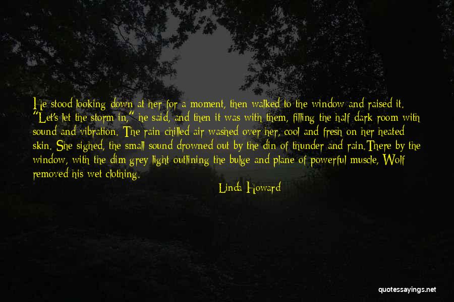 Room And Window Quotes By Linda Howard Room And Window Quotes By Linda Howard