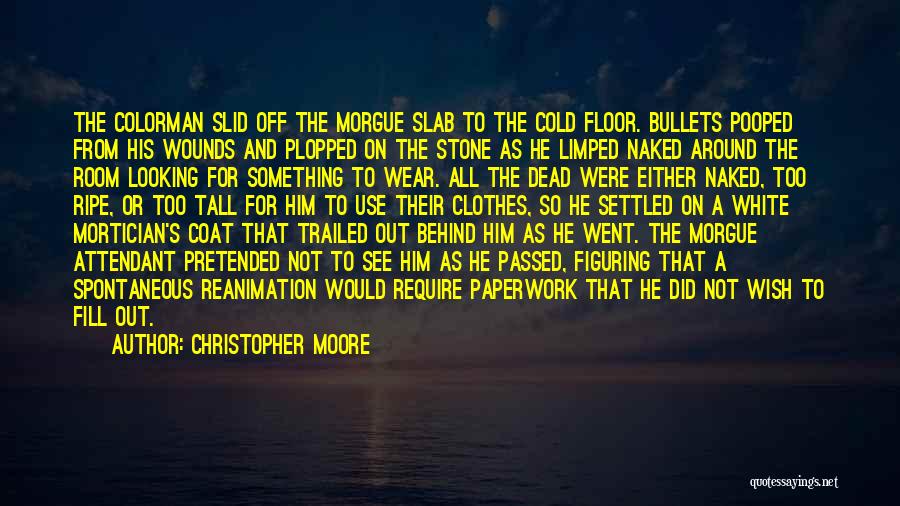 Room Attendant Quotes By Christopher Moore