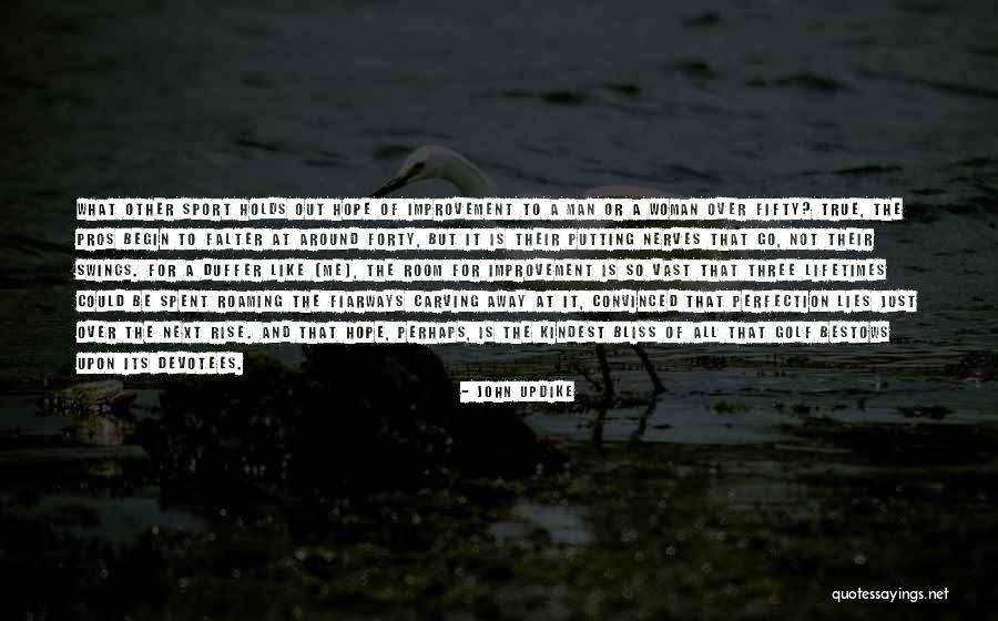 Room For Improvement Quotes By John Updike Room For Improvement Quotes By John Updike