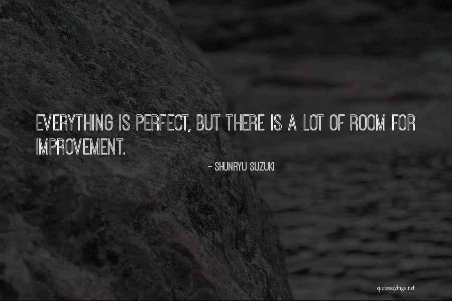 Room For Improvement Quotes By Shunryu Suzuki